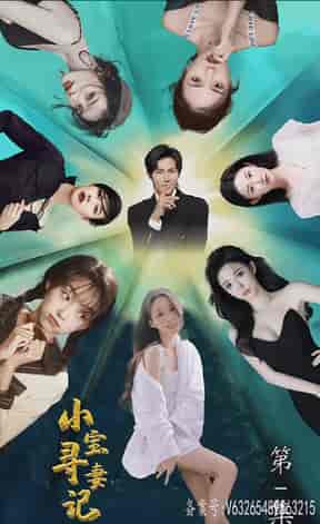 小宝寻妻记（80集）-初遇资源网