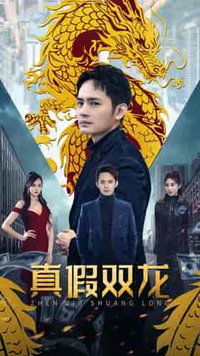 真假双龙＆归龙＆冒牌赘婿（90集）胡皓怡-初遇资源网