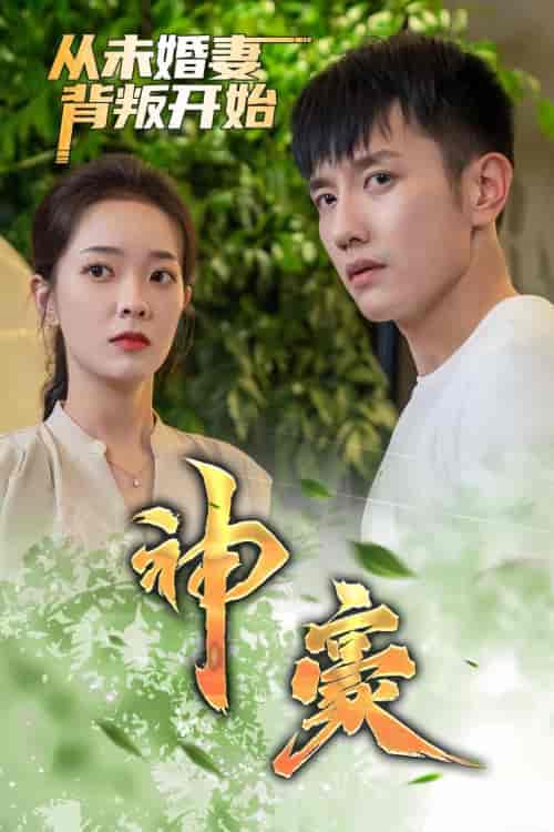 神豪从未婚妻背叛开始（99集）-初遇资源网