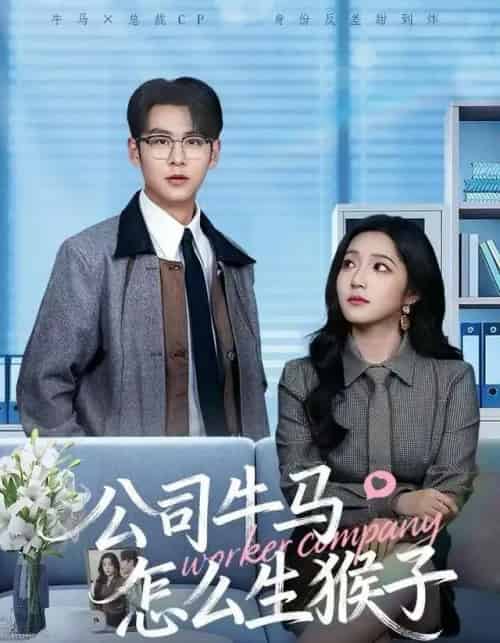 公司牛马怎么生猴子（80集全）阚梓艺＆孔德瑞-初遇资源网