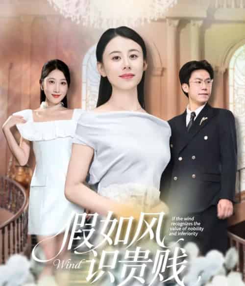 假如风识贵贱(58集全)徐香颖&周华明-初遇资源网
