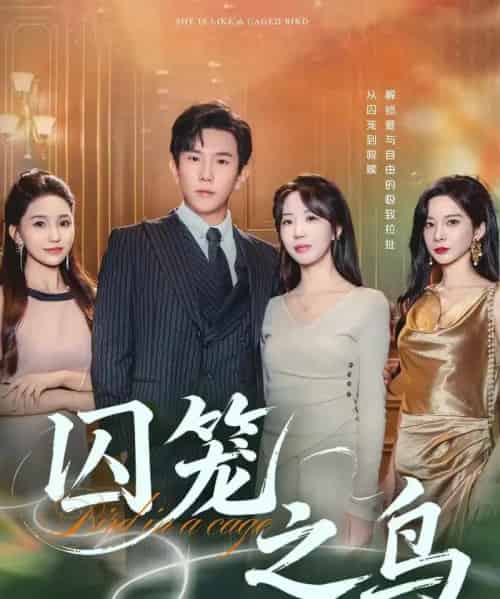 囚笼之鸟(52集全)程澄&彭丹丹(彭呆呆)-初遇资源网