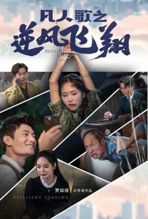 凡人歌之逆风飞翔（31集全）-初遇资源网