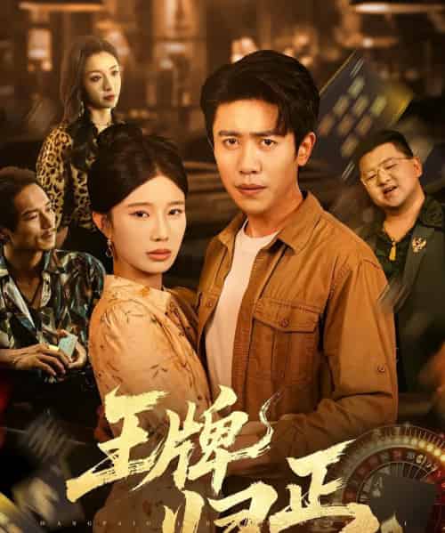 王牌归正(80集)周越&宗白铧-初遇资源网