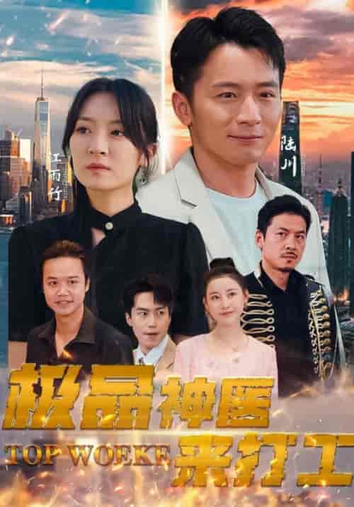 极品神医来打工（96集）-初遇资源网