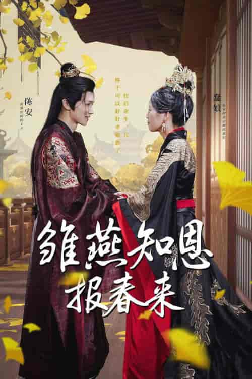 雏燕知恩报春来（36集）-初遇资源网