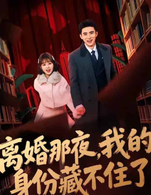 离婚那夜，我的身份藏不住了（66集全）姚晶乐＆刘渝展-初遇资源网