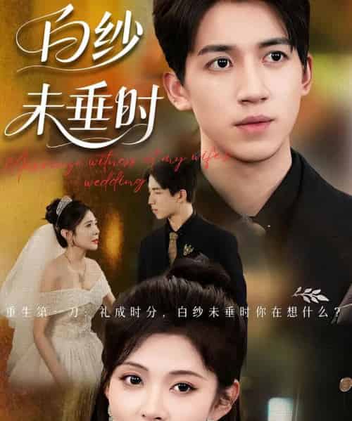 老婆婚礼我当证婚人＆白纱未垂时（54集）钟煜霖＆陆碧霄-初遇资源网