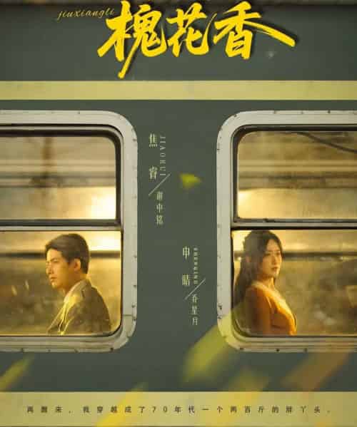 旧时光里槐花香(70集全)申晴&焦睿-初遇资源网