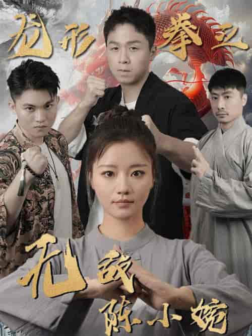 龙形拳之无敌陈小婉（60集全）-初遇资源网