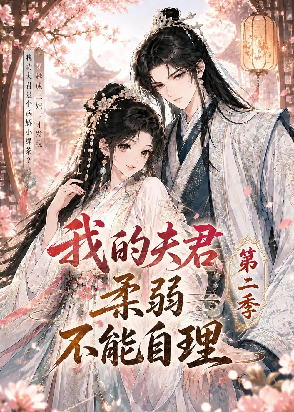 我的夫君柔弱不能自理第二季（55集）-初遇资源网