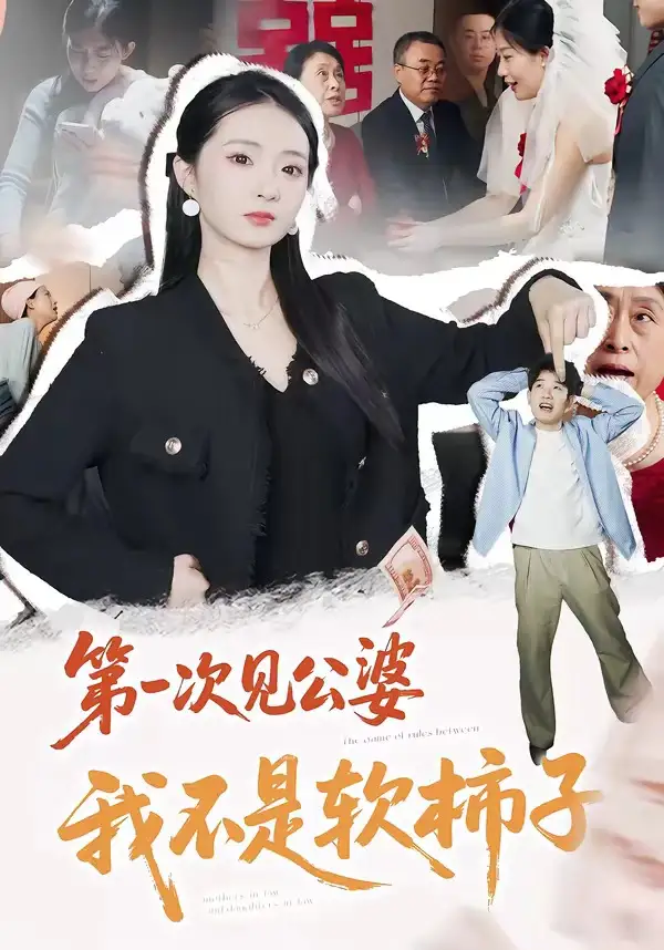 第一次见公婆我不是软柿子(50集)刘子豪&王誉洁-初遇资源网
