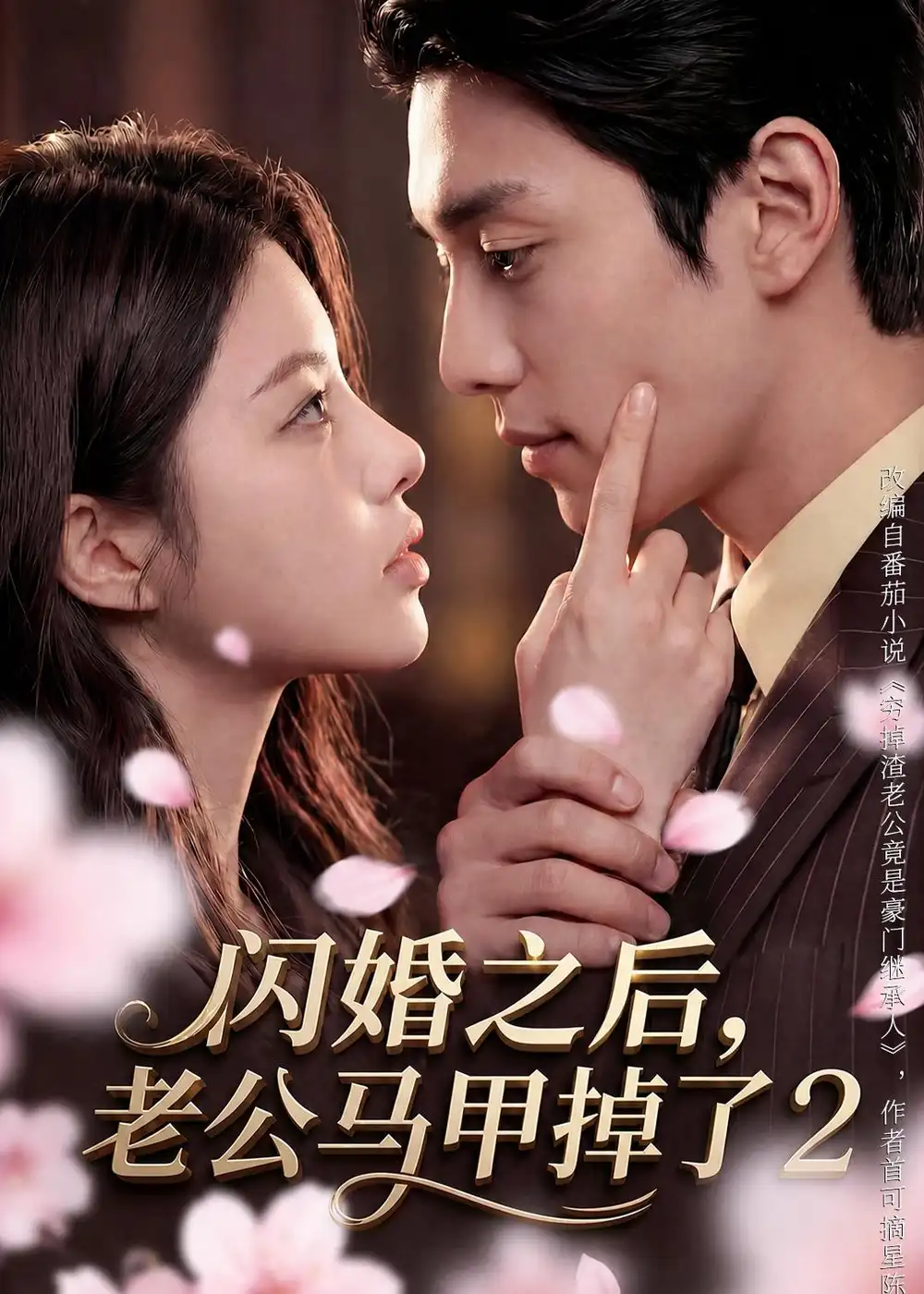闪婚之后老公马甲掉了2 闪婚之后老公马甲掉了2