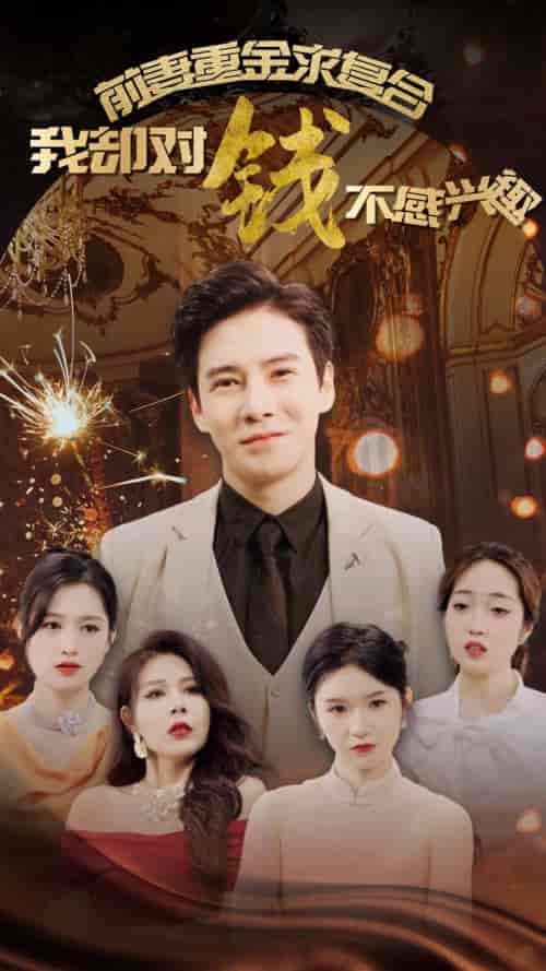 前妻重金求复合我却对钱不感兴趣（100集全）李子锋-初遇资源网