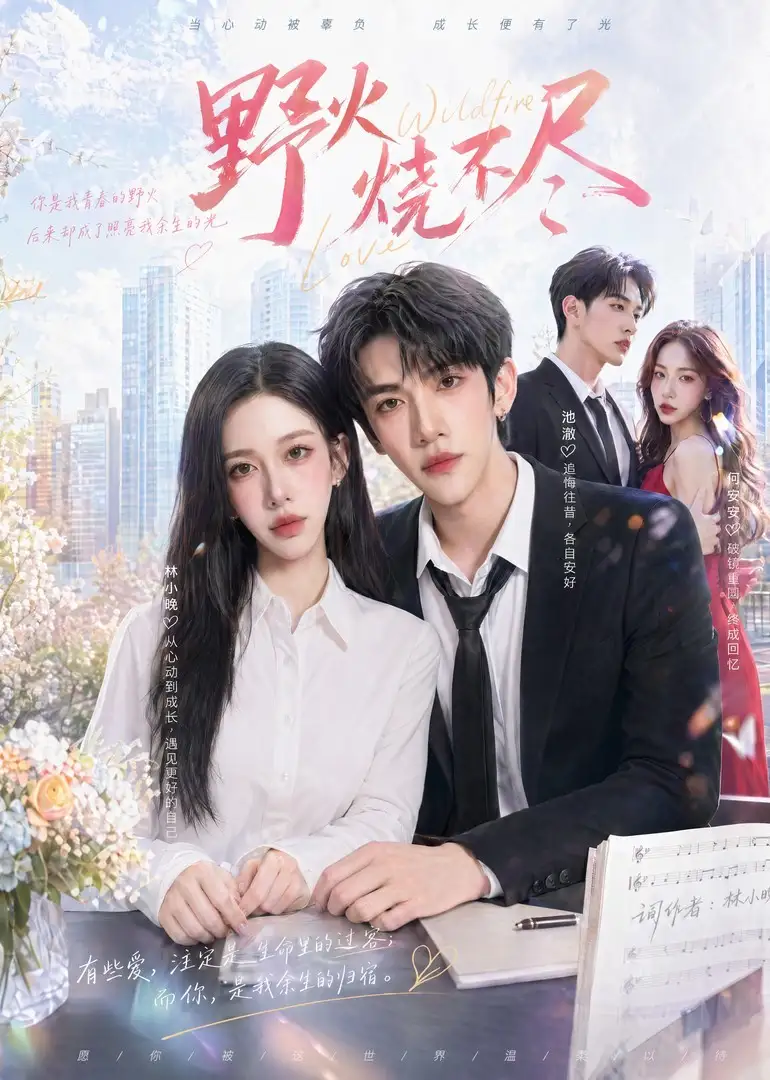 野火烧不尽(40集)-初遇资源网