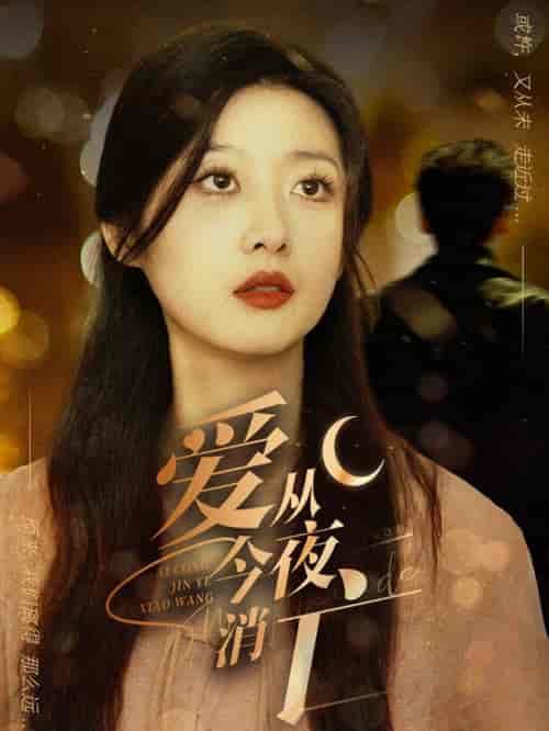 爱从今夜消亡（70集）-初遇资源网