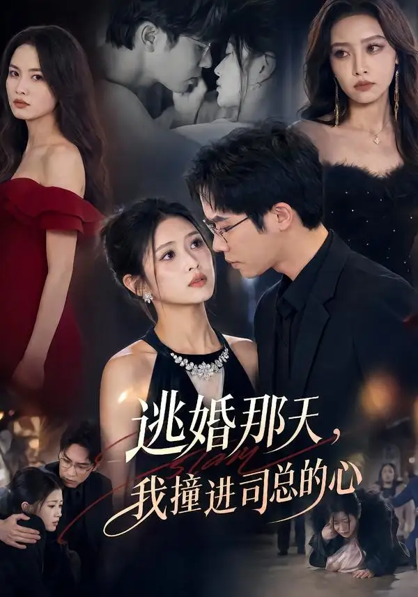 逃婚那天我撞进司总的心(61集)余容&张予晴-初遇资源网