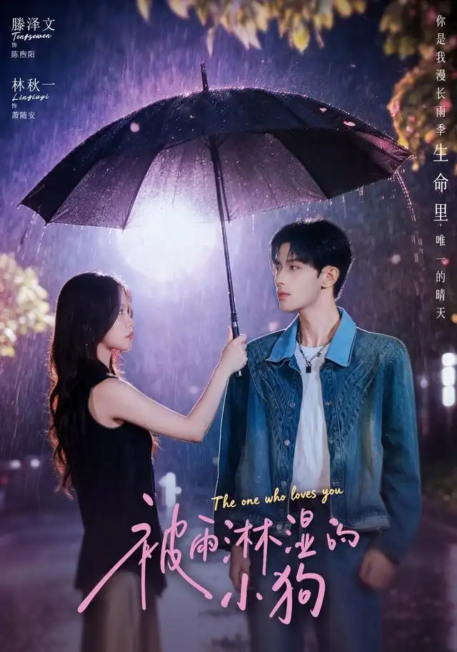 被雨淋湿的小狗（80集）林秋一＆滕泽文（1080P）-初遇资源网