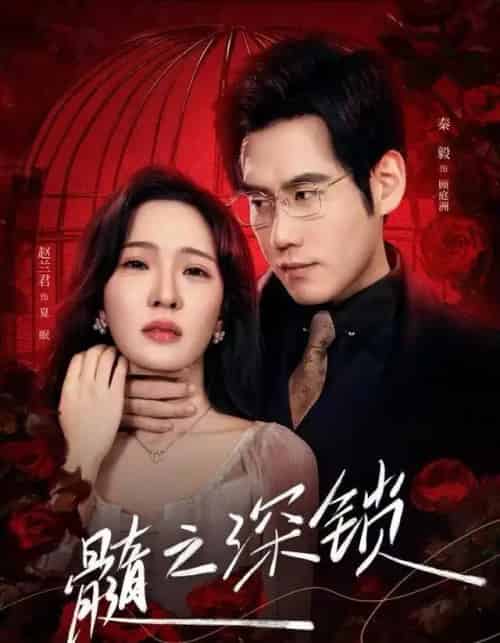 髓之深锁（84集全）赵兰君＆秦毅-初遇资源网