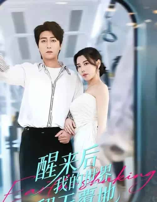 醒来后我的世界翻天覆地（83集全）李云鹏＆陈汶汐-初遇资源网