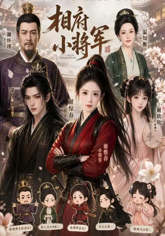相府小将军（53集）-初遇资源网