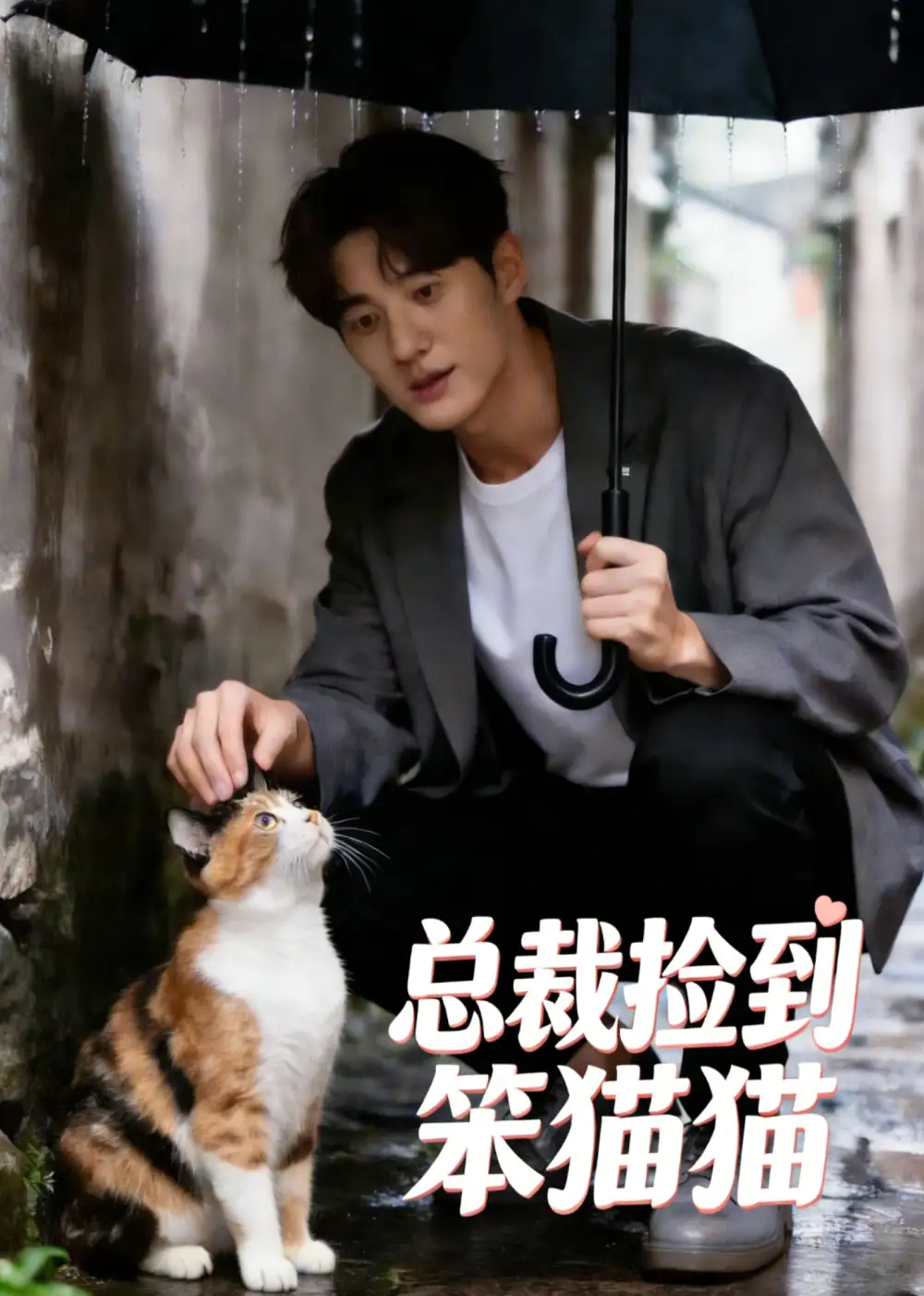 总裁捡到笨猫猫 总裁捡到笨猫猫