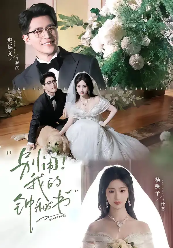 别闹我的钟秘书(84集)杨殊予&赵廷义(1080P)-初遇资源网