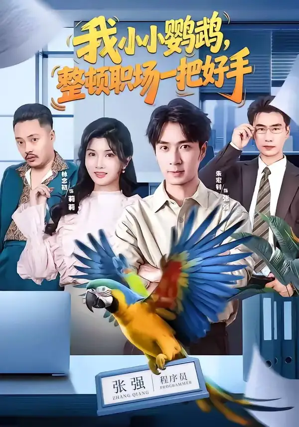 我小小鹦鹉整顿职场一把好手（62集）朱宏钊＆林念初＆周伟＆负辰鑫-初遇资源网