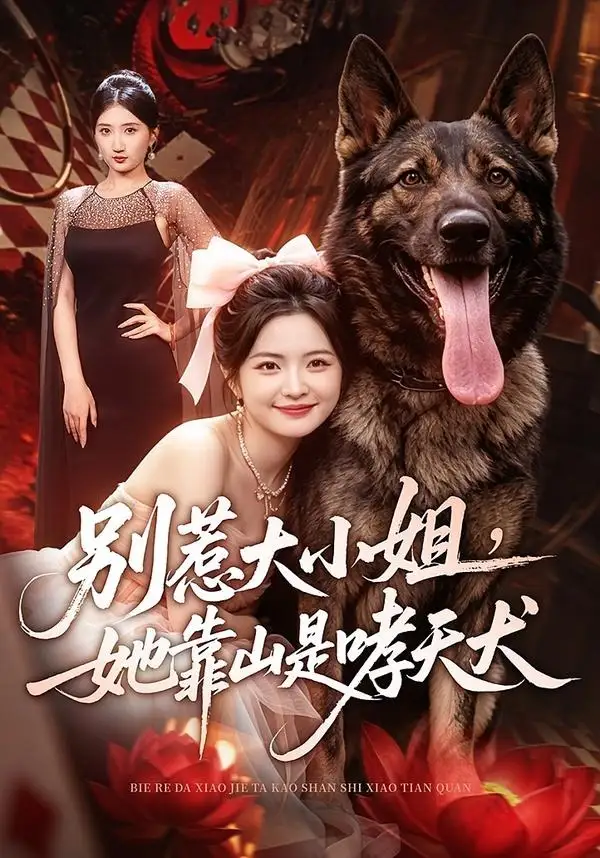别惹大小姐她靠山是哮天犬（86集）常珂欣＆刘继泽-初遇资源网