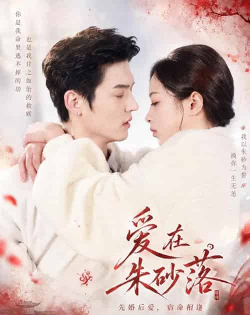 爱在朱砂落（40集全）高政＆邓漫仪-初遇资源网