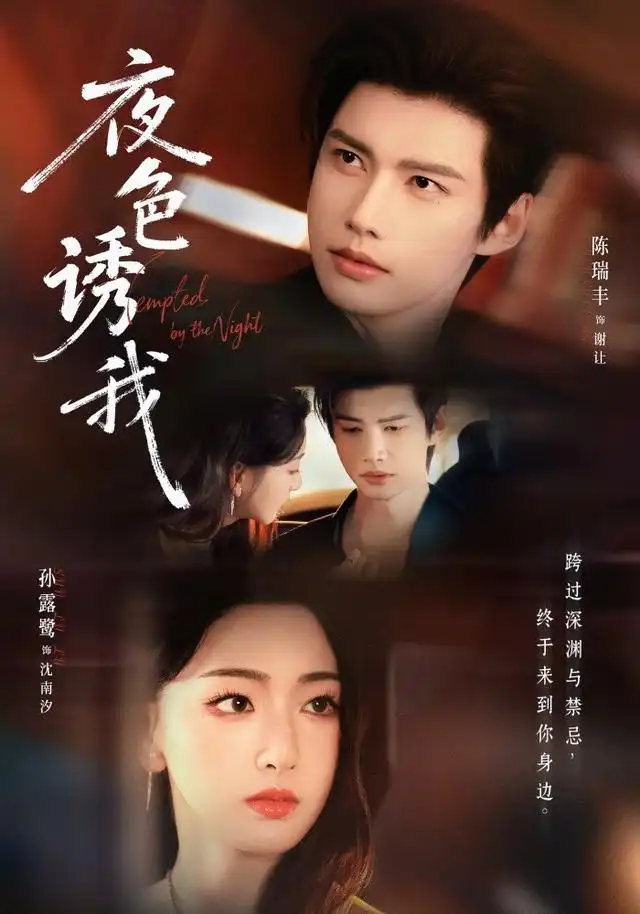 夜色诱我(78集)陈瑞丰&孙露鹭(1080P)-初遇资源网