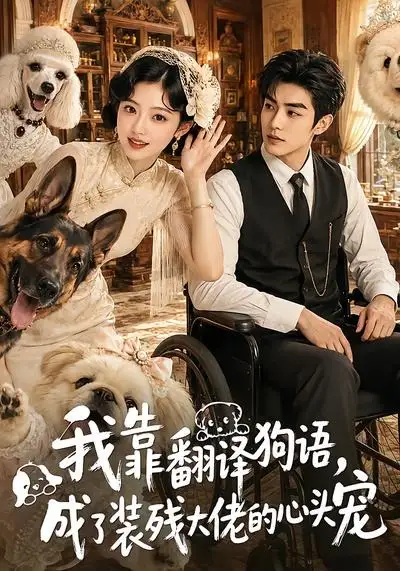 我靠翻译狗语成了装残大佬的心尖宠（80集）-初遇资源网