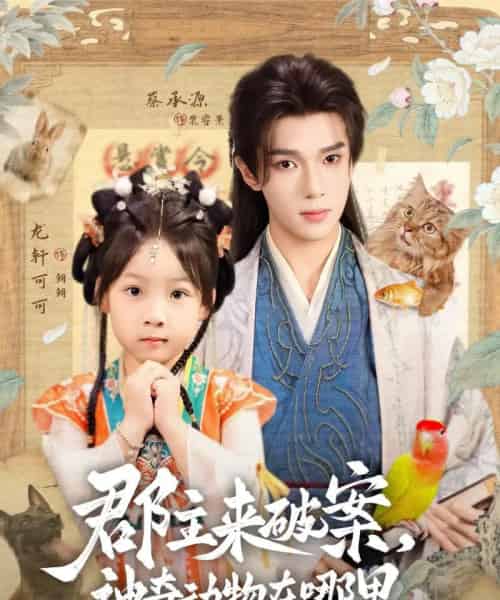 郡主来破案神奇动物在哪里(69集)蔡承源&龙轩可可-初遇资源网