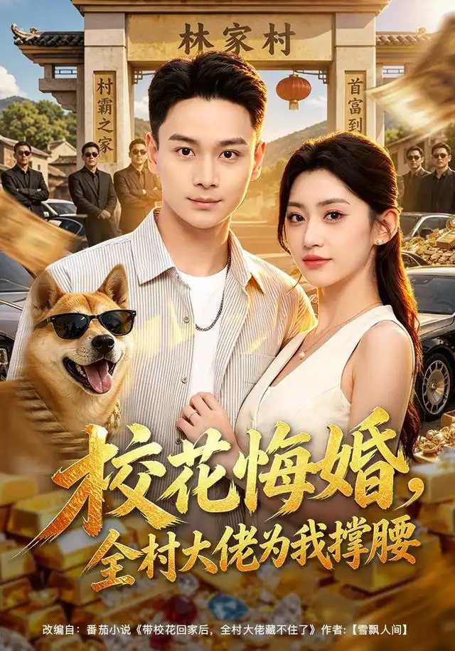 校花悔婚全村大佬为我撑腰(79集)范高坡&王冰星-初遇资源网