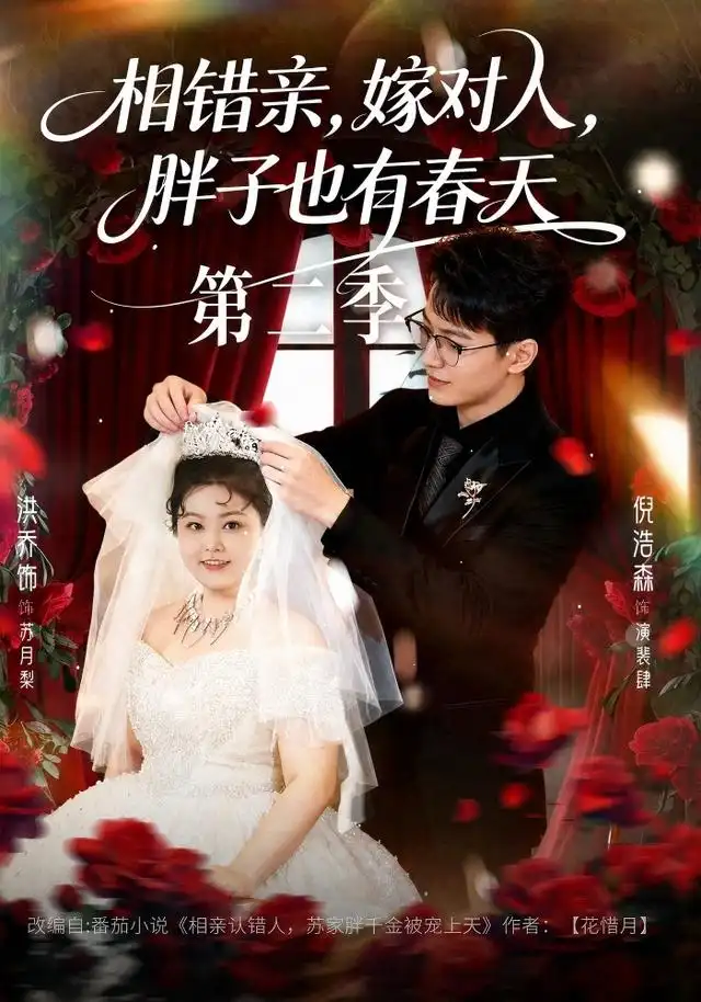 相错亲嫁对人，胖子也有春天第二季（82集）倪浩森＆洪乔（1080P）-初遇资源网