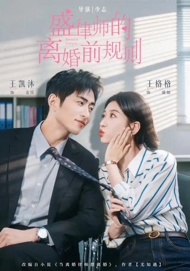 盛律师的离婚前规则 盛律师的离婚前规则