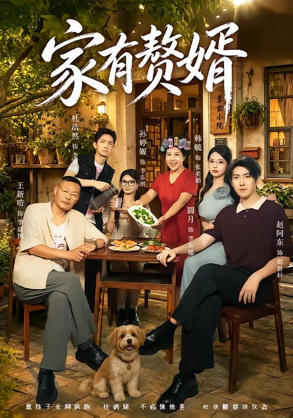 家有赘婿 家有赘婿