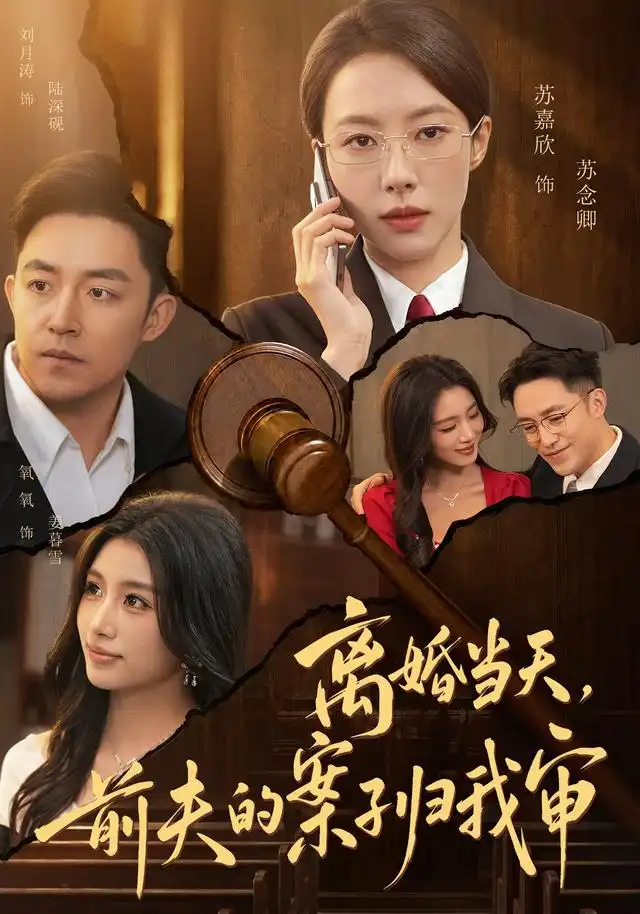 离婚当天前夫的案子归我审（63集）苏嘉欣＆刘月涛 - 夸克短剧