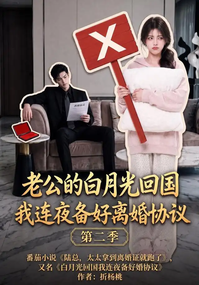 老公的白月光回国我连夜备好离婚协议第二季 老公的白月光回国我连夜备好离婚协议第二季