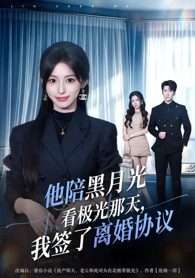 他陪黑月光看极光那天我签了离婚协议 他陪黑月光看极光那天我签了离婚协议