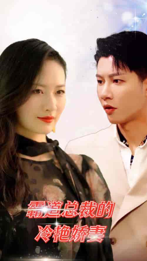 霸道总裁的冷艳娇妻(83集)-初遇资源网