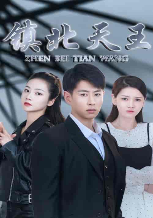 镇北天王（87集）-初遇资源网