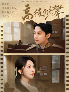 高枝难攀（80集全）张屹杨＆丁果 - 夸克短剧