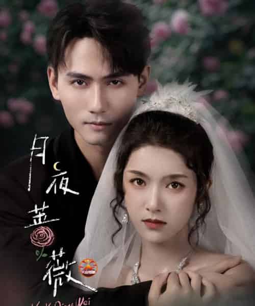 月夜蔷薇（72集全）谢予望＆卢鹿鹿-初遇资源网