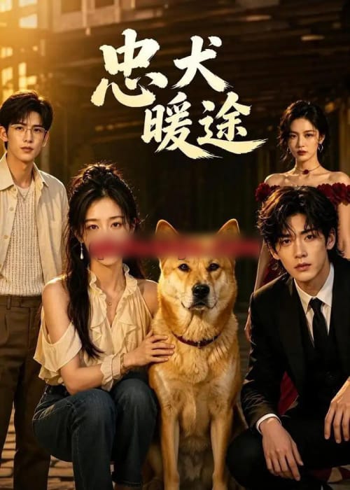忠犬暖途 忠犬暖途