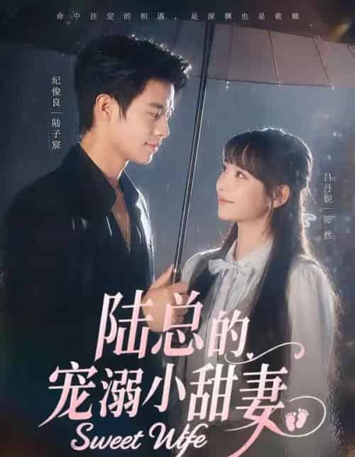陆总的宠溺小甜妻（61集全）纪俊良＆吕丹妮-初遇资源网