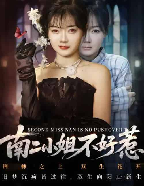 南二小姐不好惹（65集全）聂基坤＆林鹿-初遇资源网