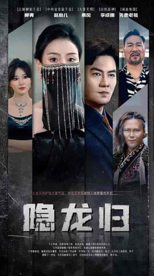 隐龙归（80集）-初遇资源网