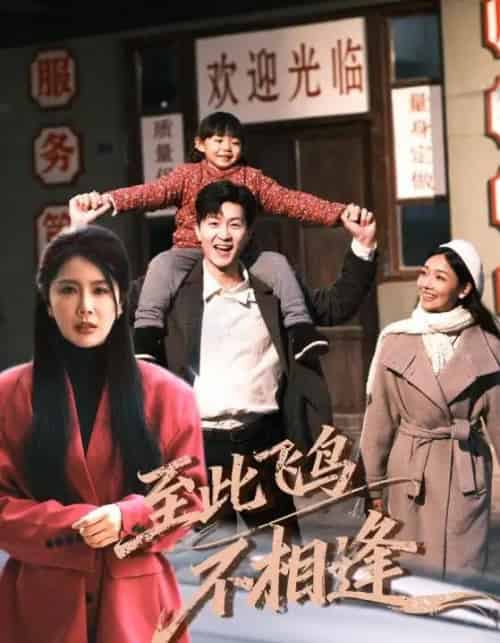 至此飞鸟不相逢（70集全）丁海霞＆王鹏-初遇资源网