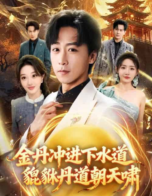 金丹冲进下水道貔貅丹道朝天啸(64集全)刘小喵&李星辰-初遇资源网
